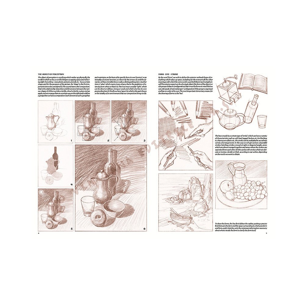 Libro, Colección Leonardo Vinciana Las Bases Del Dibujo No. 1