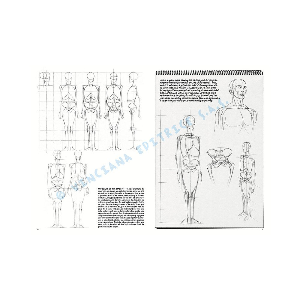 Libro, Colección Leonardo Vinciana Las Bases Del Dibujo No. 2