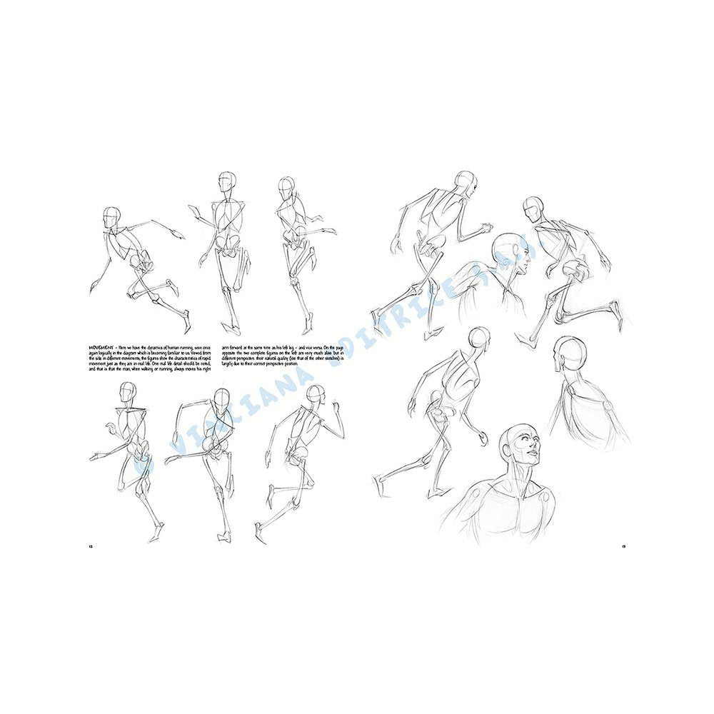 Libro, Colección Leonardo Vinciana Las Bases Del Dibujo No. 2