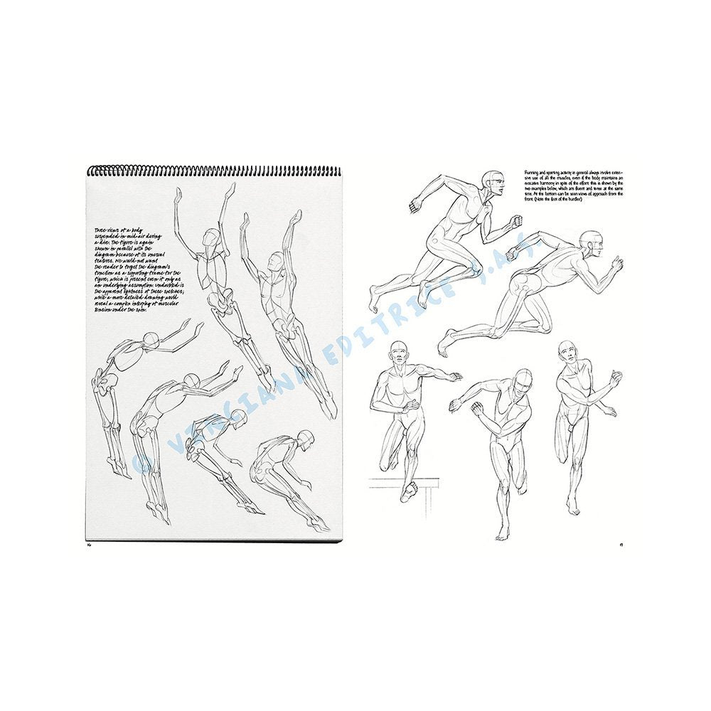 Libro, Colección Leonardo Vinciana Las Bases Del Dibujo No. 2