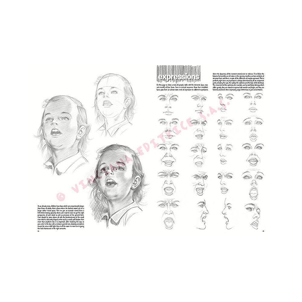 Libro, Colección Leonardo Vinciana Las Bases Del Dibujo No. 3