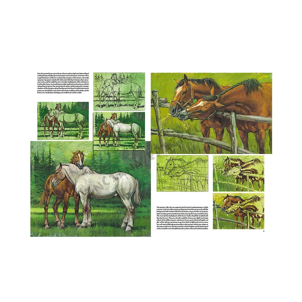 Libro, Colección Leonardo Vinciana Los Caballos No. 6