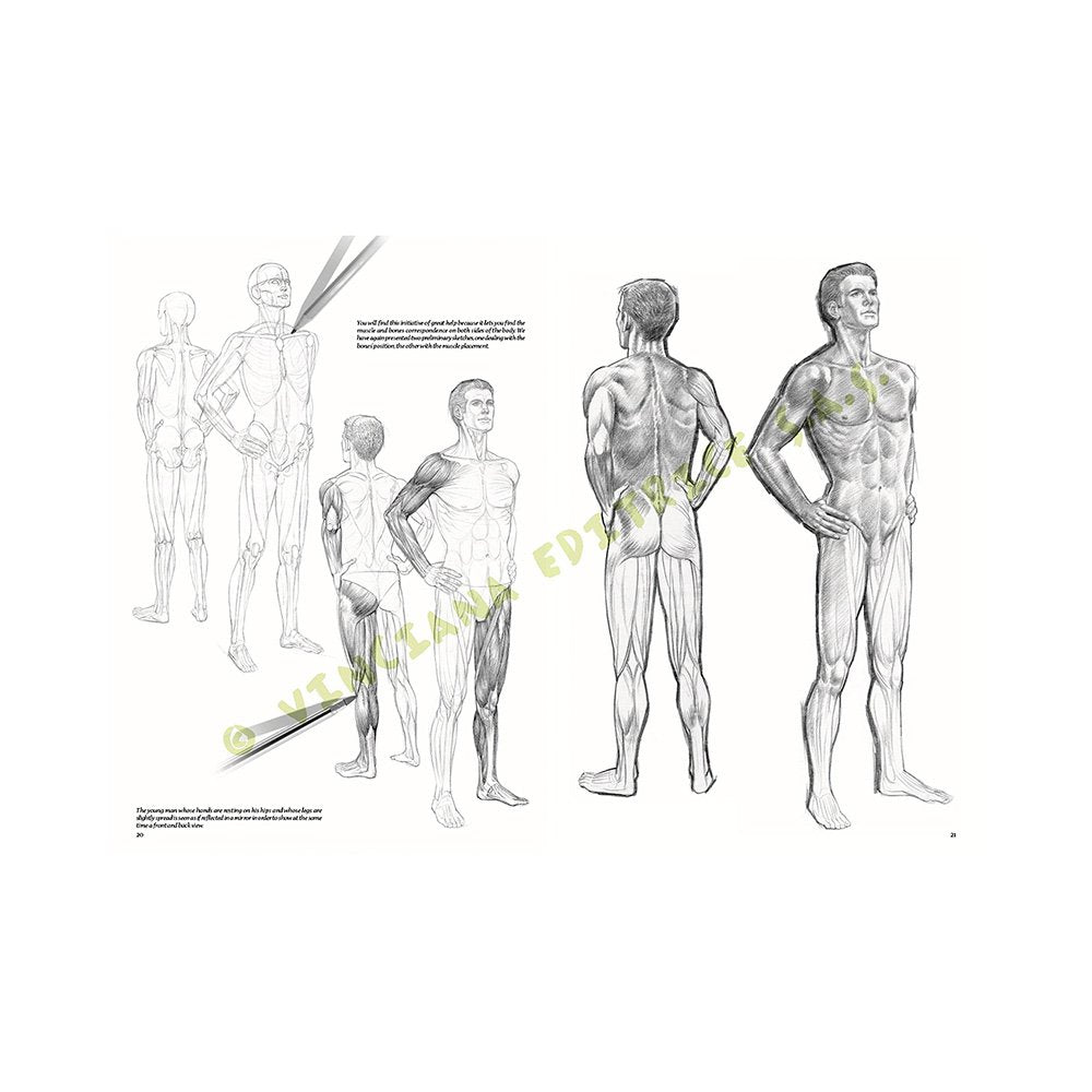 Libro Colección, Leonardo Vinciana, Desnudos No.10