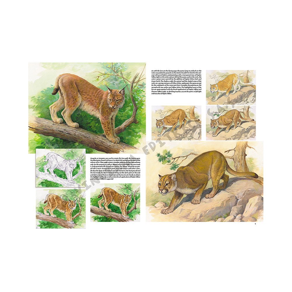Libro, Colección Leonardo Vinciana Animales No. 12