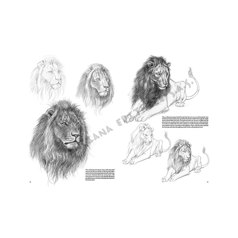 Libro, Colección Leonardo Vinciana Animales No. 12