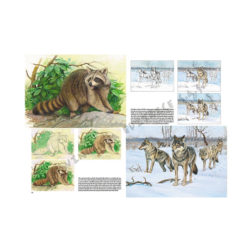 Libro, Colección Leonardo Vinciana Animales No. 12