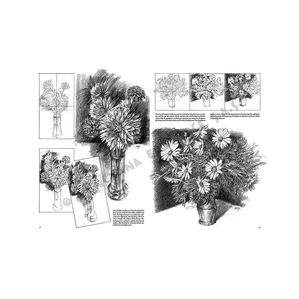 Libro Colección, Leonardo Vinciana, Flores No.21