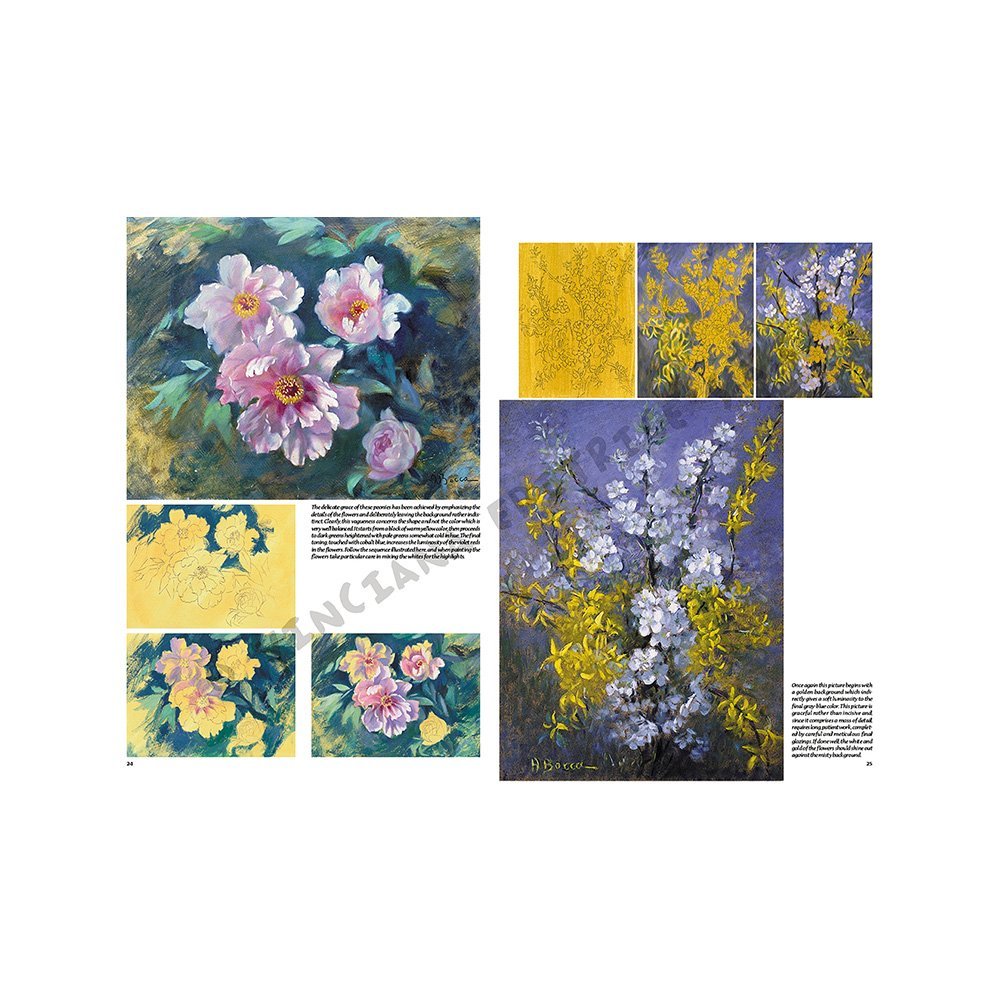 Libro Colección, Leonardo Vinciana, Flores No.21