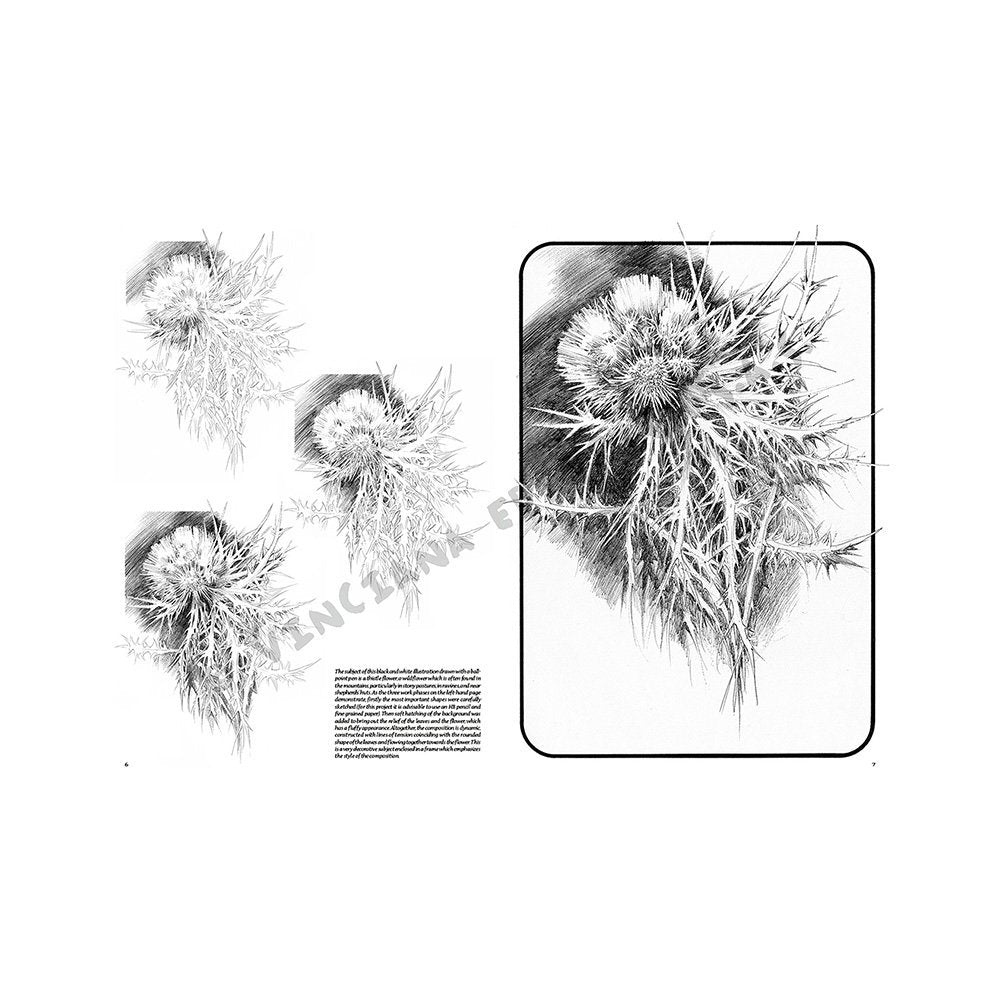 Libro Colección, Leonardo Vinciana, Flores No.23