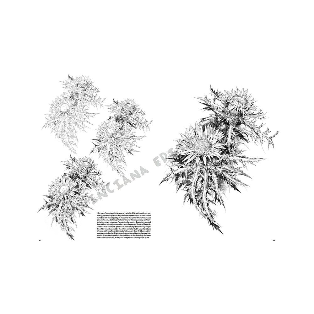 Libro Colección, Leonardo Vinciana, Flores No.23