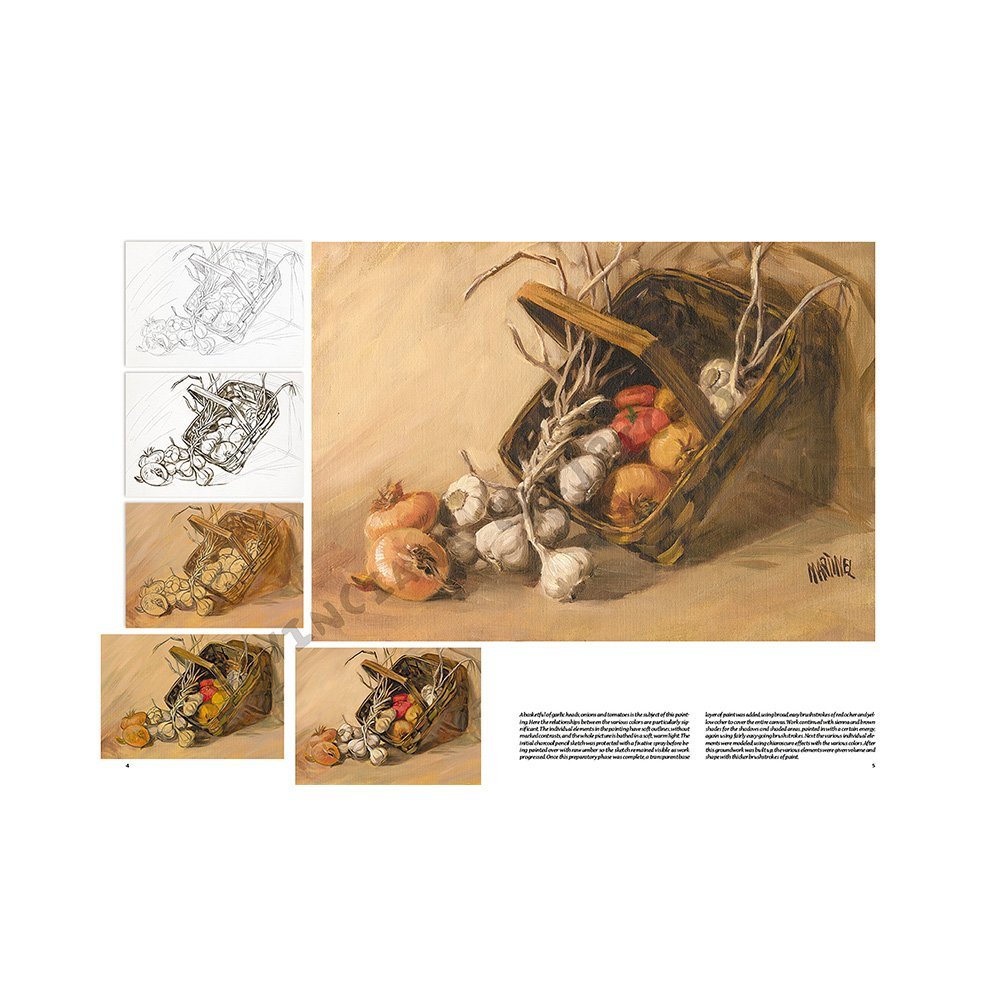 Libro Colección, Leonardo Vinciana, Naturalezas Muertas No.24