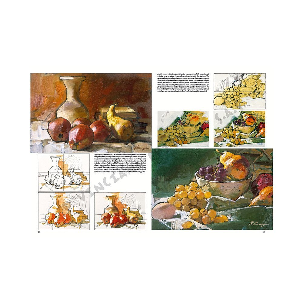 Libro Colección, Leonardo Vinciana, Naturalezas Muertas No.25