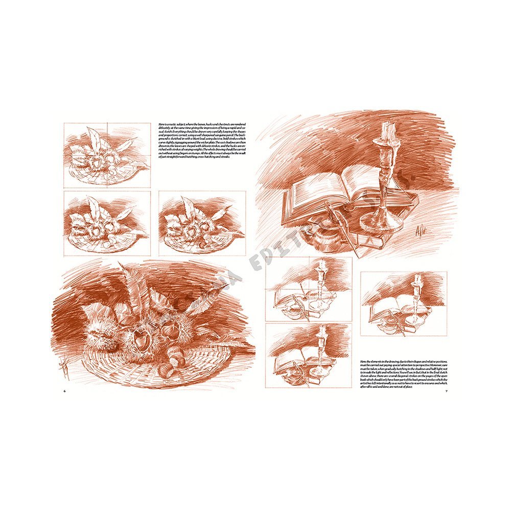 Libro Colección, Leonardo Vinciana, Naturalezas Muertas No.25