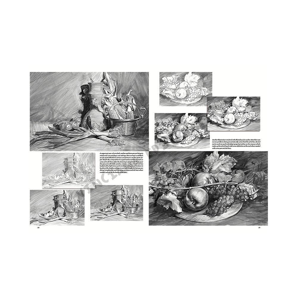 Libro Colección, Leonardo Vinciana, Naturalezas Muertas No.26