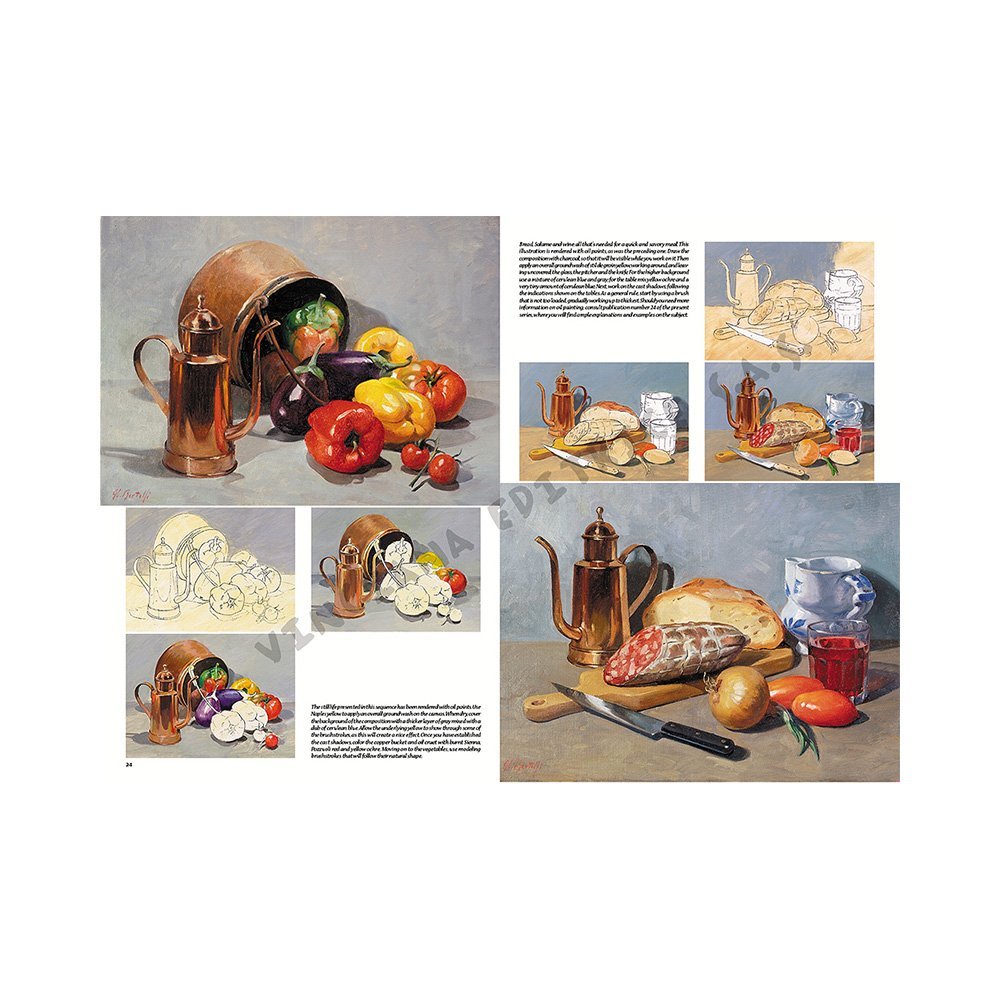 Libro Colección, Leonardo Vinciana, Naturalezas Muertas No.26