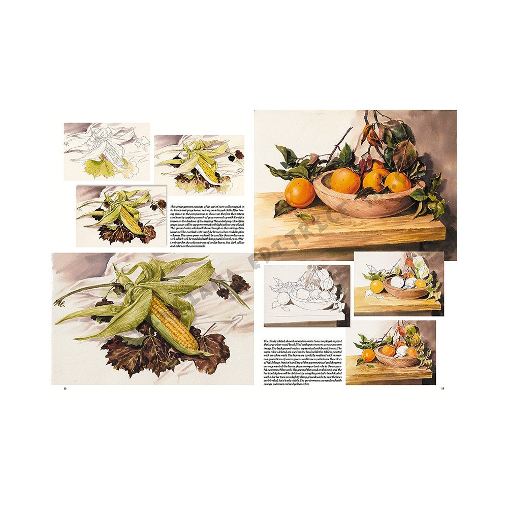 Libro Colección, Leonardo Vinciana, Naturalezas Muertas No.26