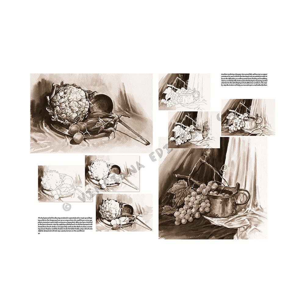 Libro Colección, Leonardo Vinciana, Naturalezas Muertas No.26