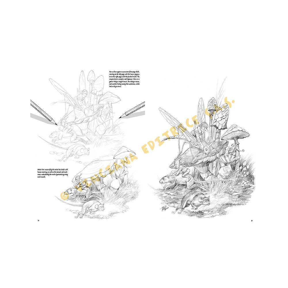 Libro Colección, Leonardo Vinciana, Las Bases del Comic Volumen II No.34