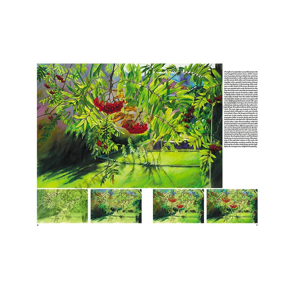 Libro Colección, Leonardo Vinciana, Arboles y Hojas No.45