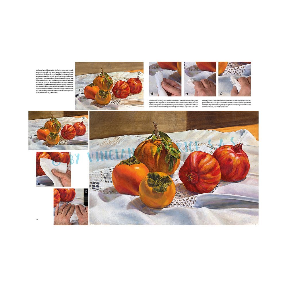 Libro Colección, Leonardo Vinciana, Pequeños Secretos del Oficio No.48