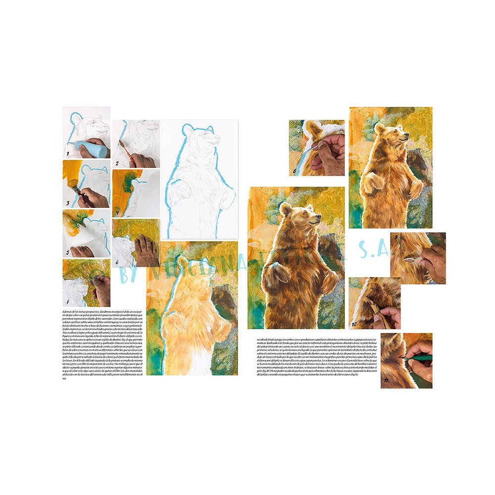 Libro Colección, Leonardo Vinciana, Pequeños Secretos del Oficio No.48