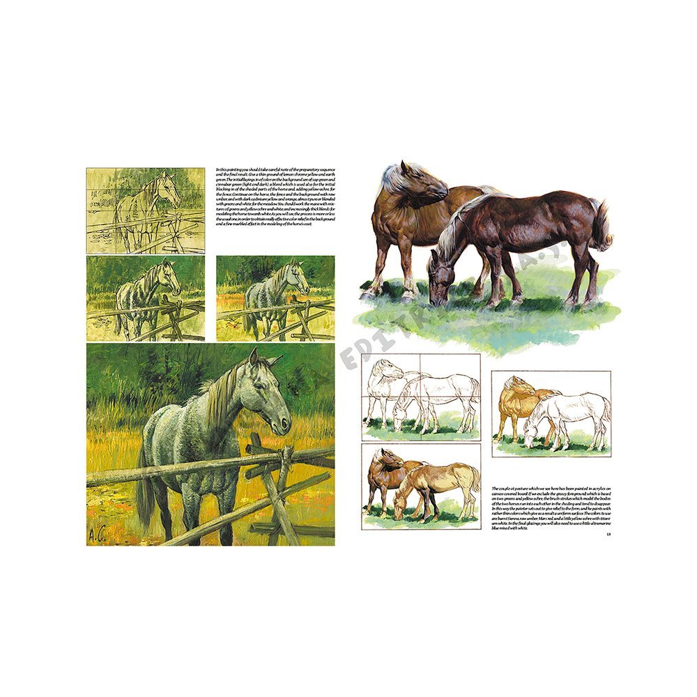 Libro, Colección Leonardo Vinciana Los Caballos  No. 6