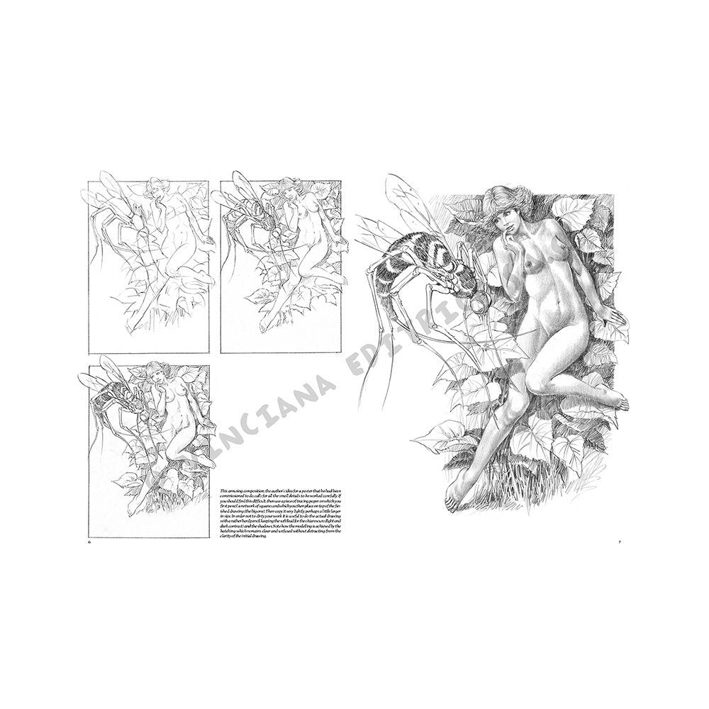 Libro, Colección Leonardo Vinciana Desnudos  No. 7