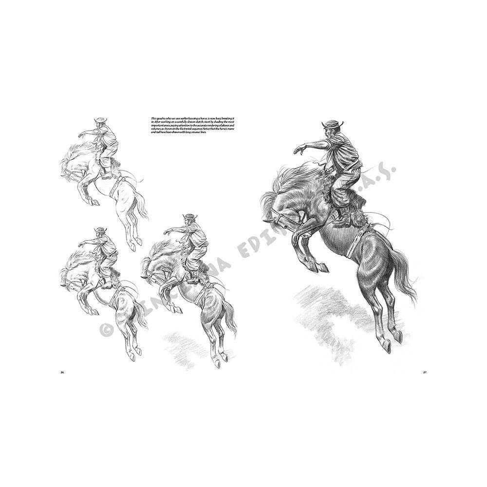 Libro Colección, Leonardo Vinciana, Caballos y Jinetes No.11
