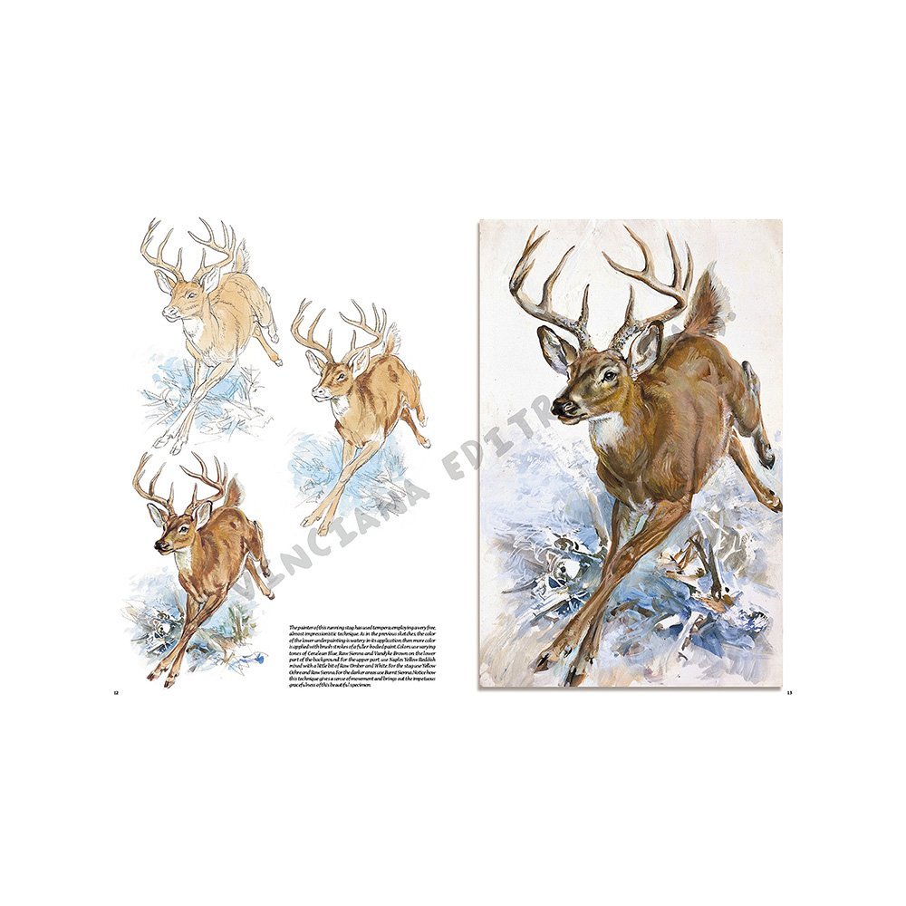 Libro Colección, Leonardo Vinciana, Animales No.13