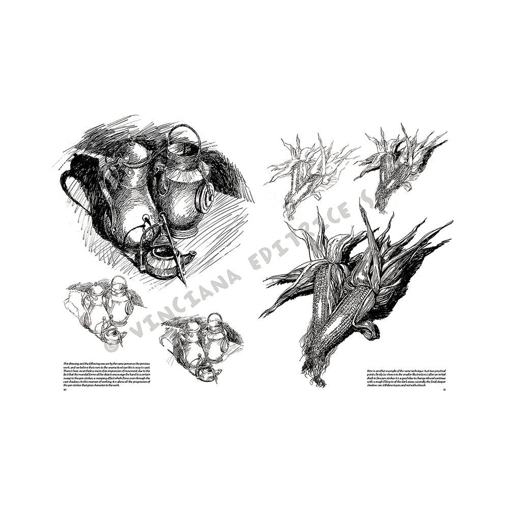 Libro Colección, Leonardo Vinciana, Naturalezas Muertas No.24