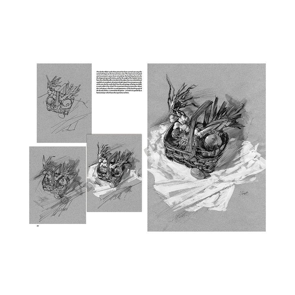 Libro Colección, Leonardo Vinciana, Naturalezas Muertas No.24