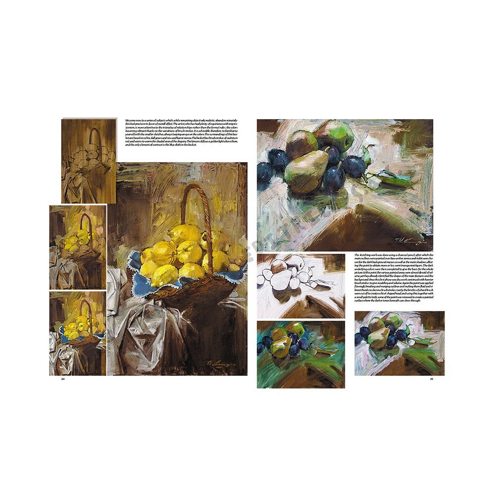 Libro Colección, Leonardo Vinciana, Naturalezas Muertas No.24