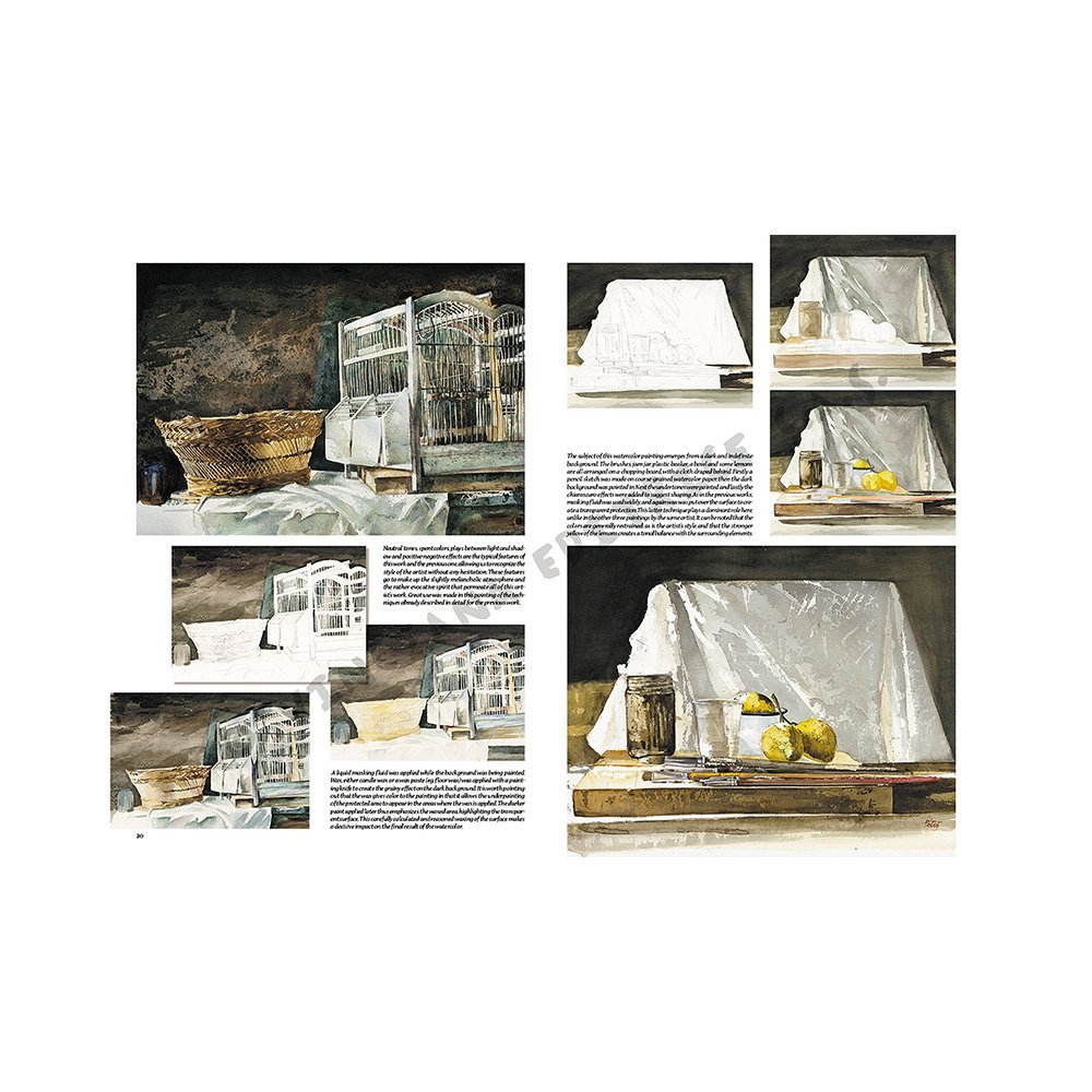 Libro Colección, Leonardo Vinciana, Naturalezas Muertas No.41
