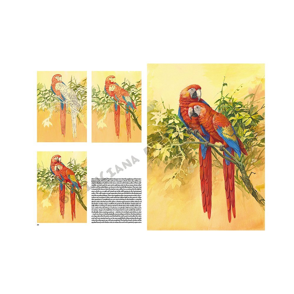 Libro, Colección Leonardo Vinciana Pájaros No. 28