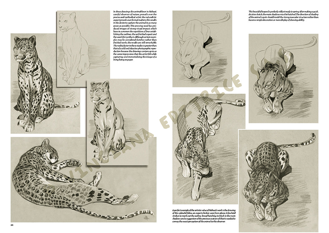 Libro Colección, Leonardo Vinciana, Los Animales de Meheut No.38