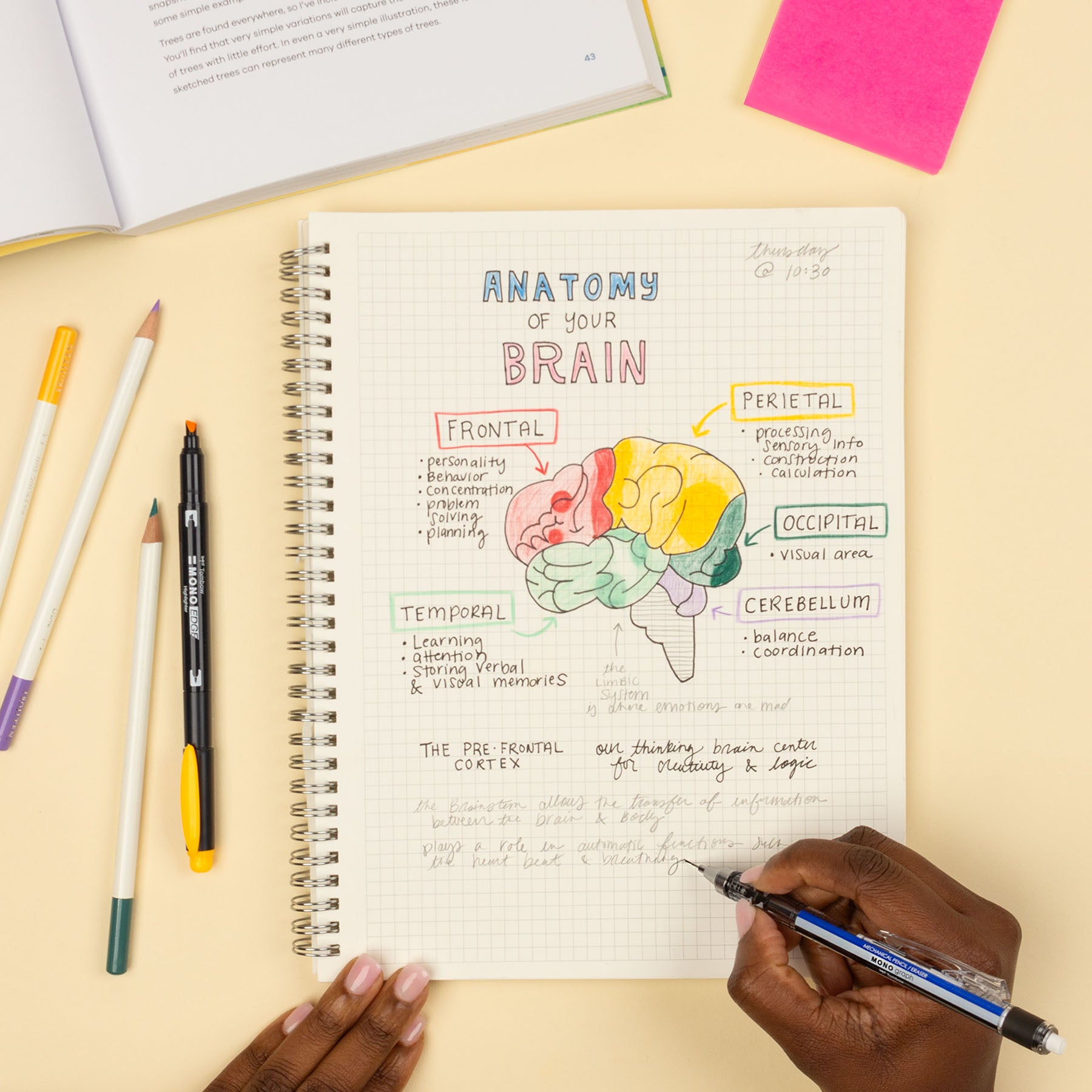 Portaminas Mecánico MONO Graph Tricolor HB 0.5 mm